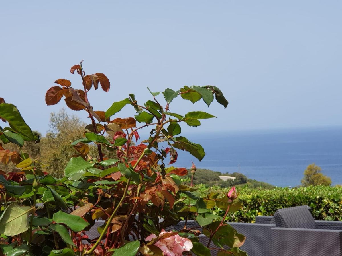 Acquaviva Park Hotel 포르토페라이오 외부 사진