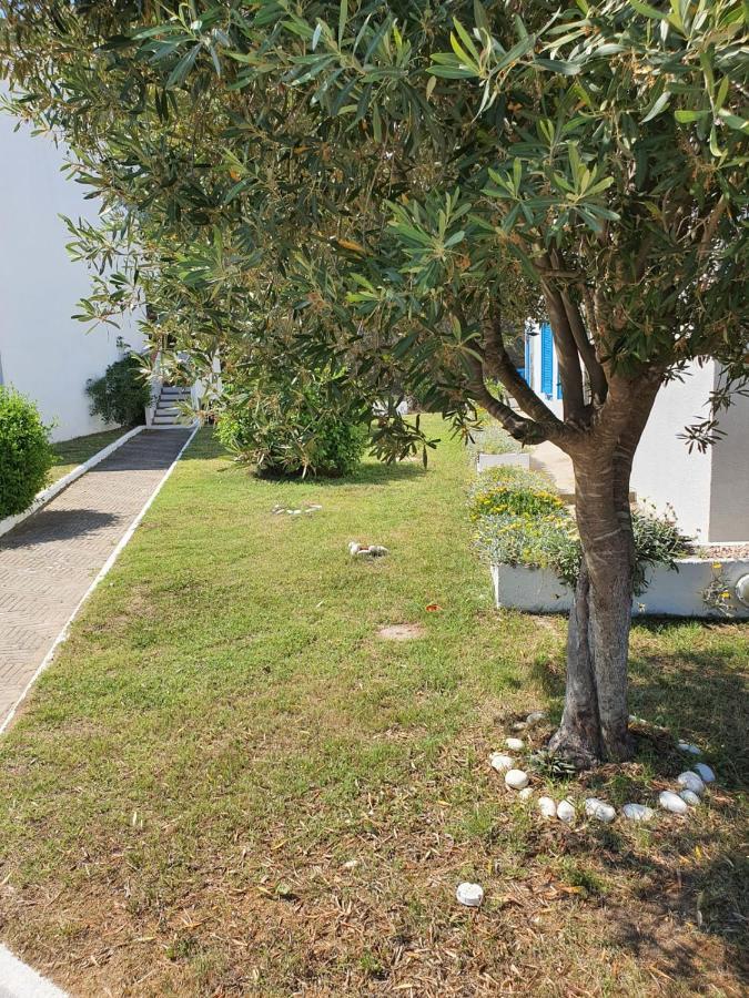 Acquaviva Park Hotel 포르토페라이오 외부 사진