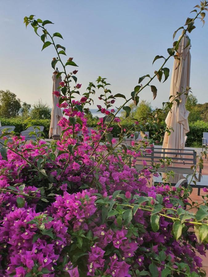 Acquaviva Park Hotel 포르토페라이오 외부 사진
