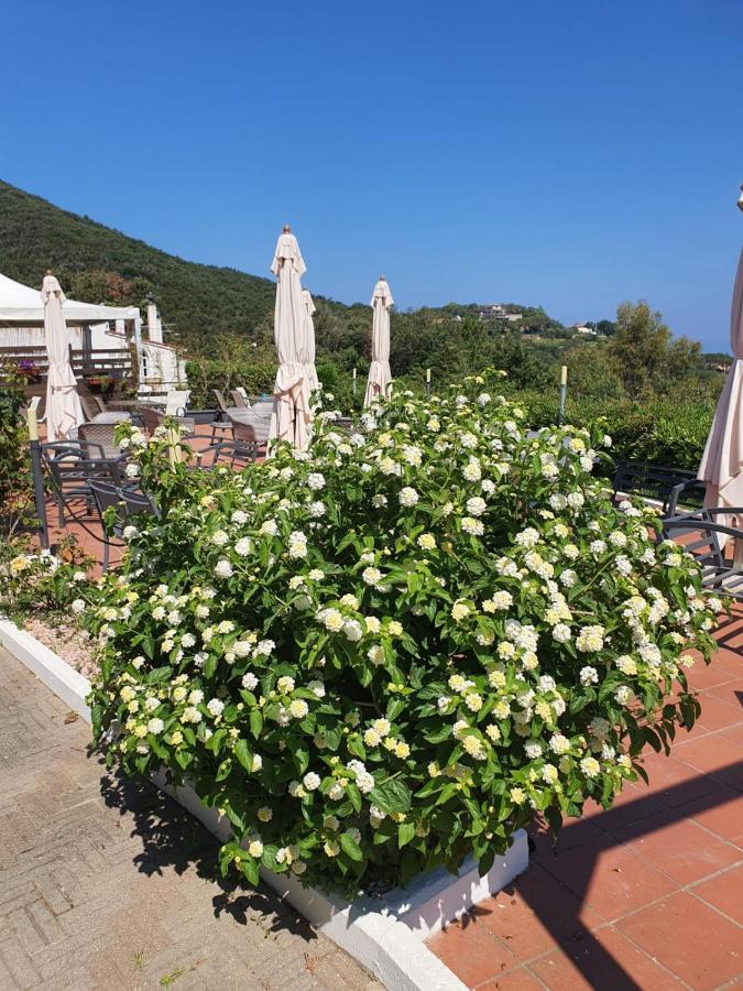 Acquaviva Park Hotel 포르토페라이오 외부 사진